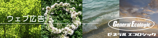 ゼネラルエコロジック　ウェブ広告